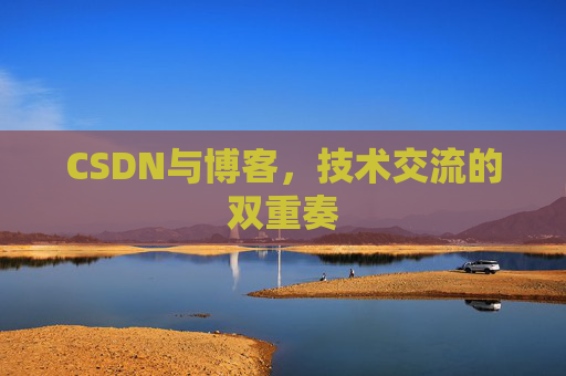 CSDN与博客，技术交流的双重奏